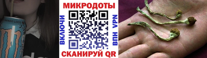 Галлюциногенные грибы мухоморы  Инсар 